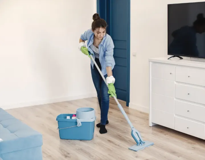 Femme de ménage Somain